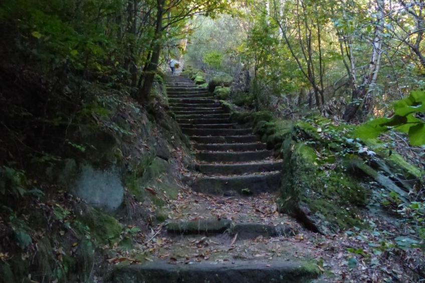 Domäne mit Terrasse, Grill und Garten - foto 34