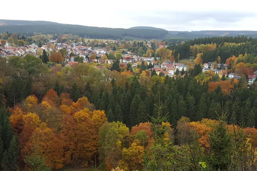 Komfortwohnung - foto 35