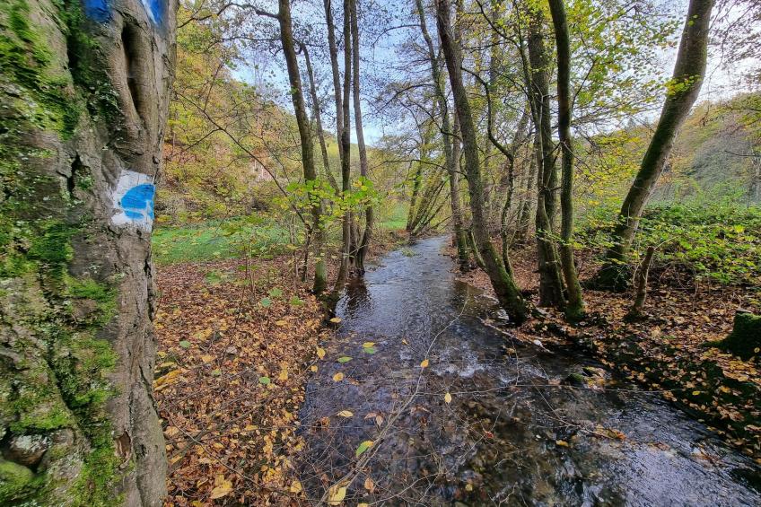 Double Room with Extra Bed - foto 18