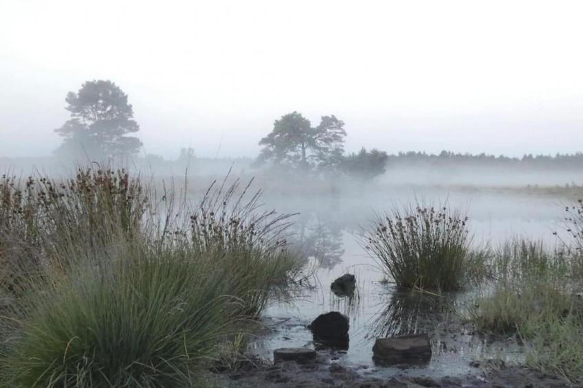 RCN de Jagerstee 3 - foto 31