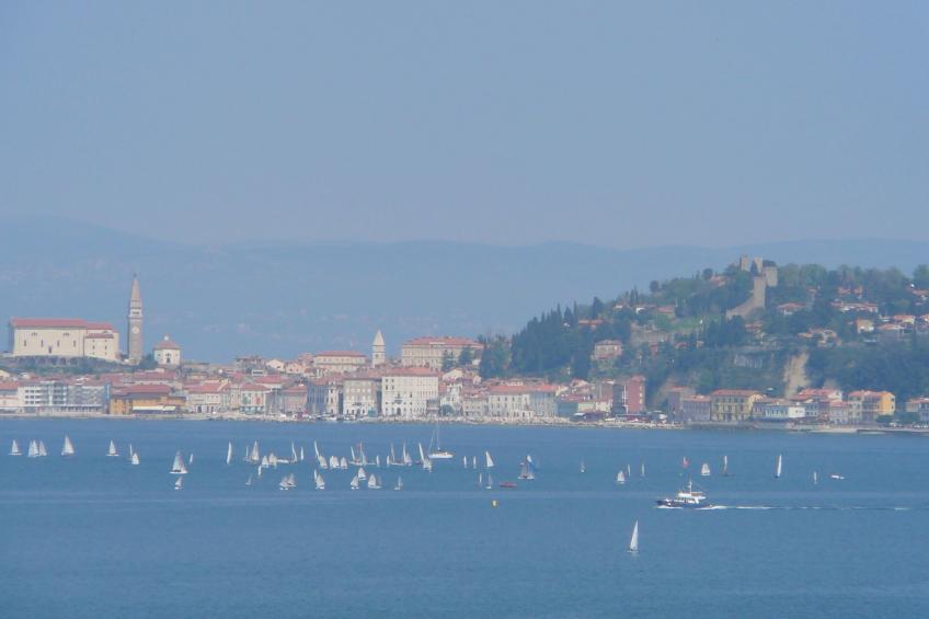 Villa del Golfo, Apartement mit Garten und Pool - foto 40