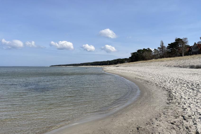 Schlönis Koppelblick - foto 35