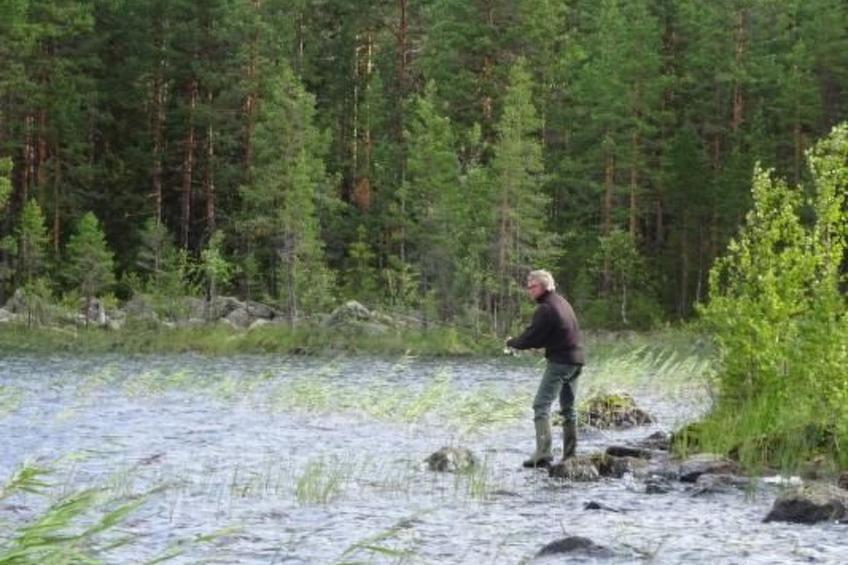 Solbacken Cottage und Lodge - foto 41