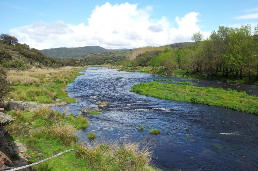 El Mirador del Soto - foto 32