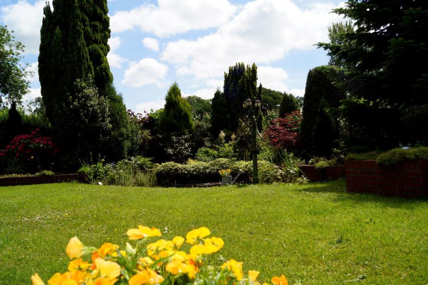 in Marienhafe - foto 10