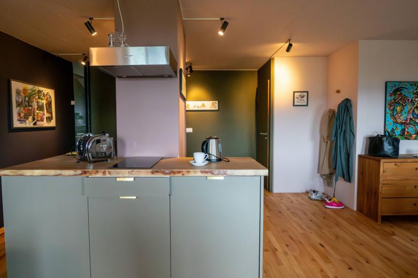 Studio de l'artist - foto 5