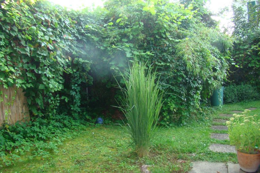 Wohlfühloase - foto 4