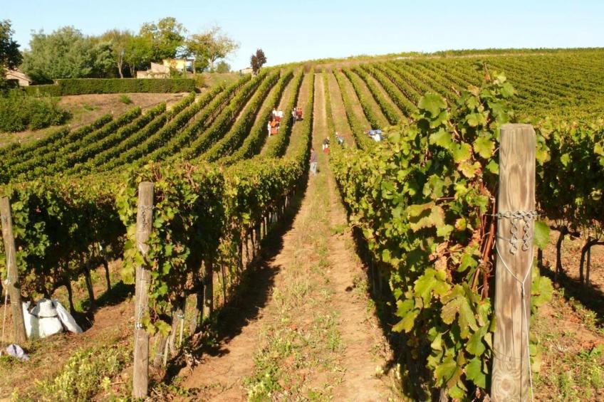 Villa Vinarte - foto 31