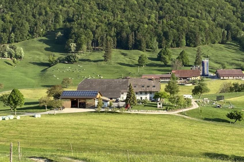 Schafmatthof 1 Obergeschoss - foto 13