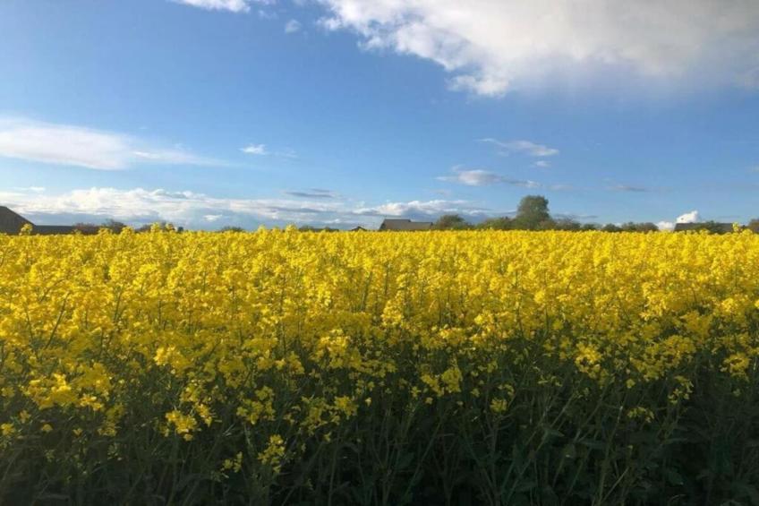 Pilmeroth 20 - foto 30