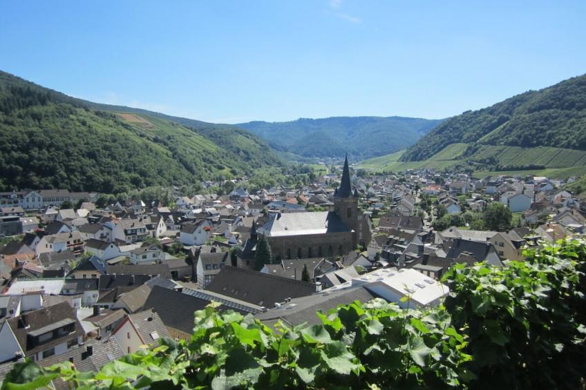 36240 - foto 24