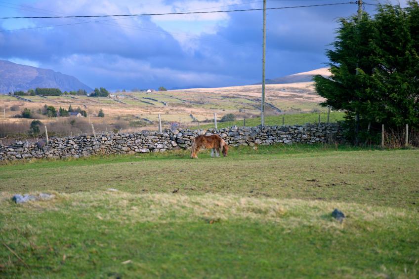 Hedd Wen Cottage - foto 22