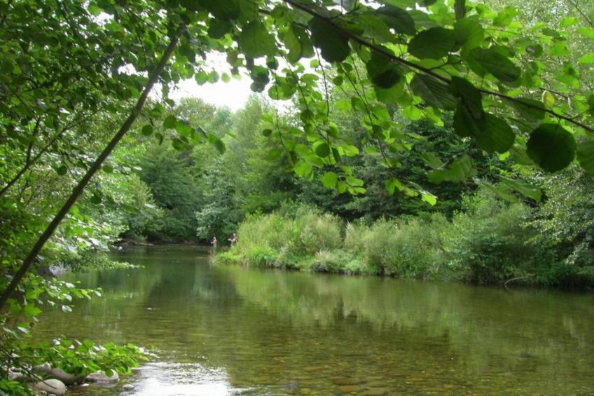 Chalet Panoramique - foto 31