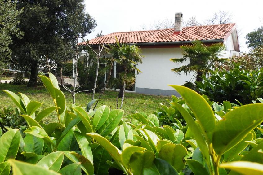 Gemütliches Ferienhaus in Pinezići mit großer Terrasse - foto 4