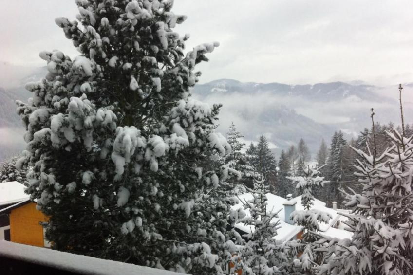 Appartement Murtalblick in Pöls - foto 29