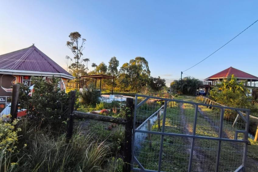 National Park View - foto 14