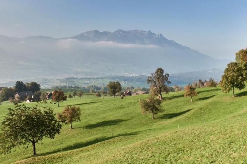 Grosshostett - foto 3