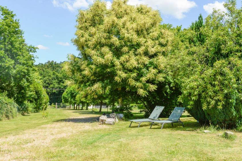 Der Ruf der freien Zone - foto 29