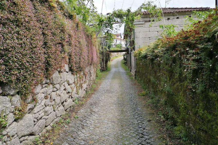 Altes Kellerhaus in Gerês - foto 63