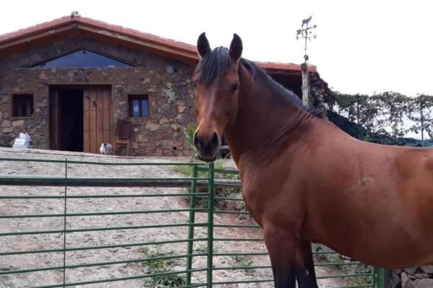 Finca "Sunny Scape Rural - foto 39