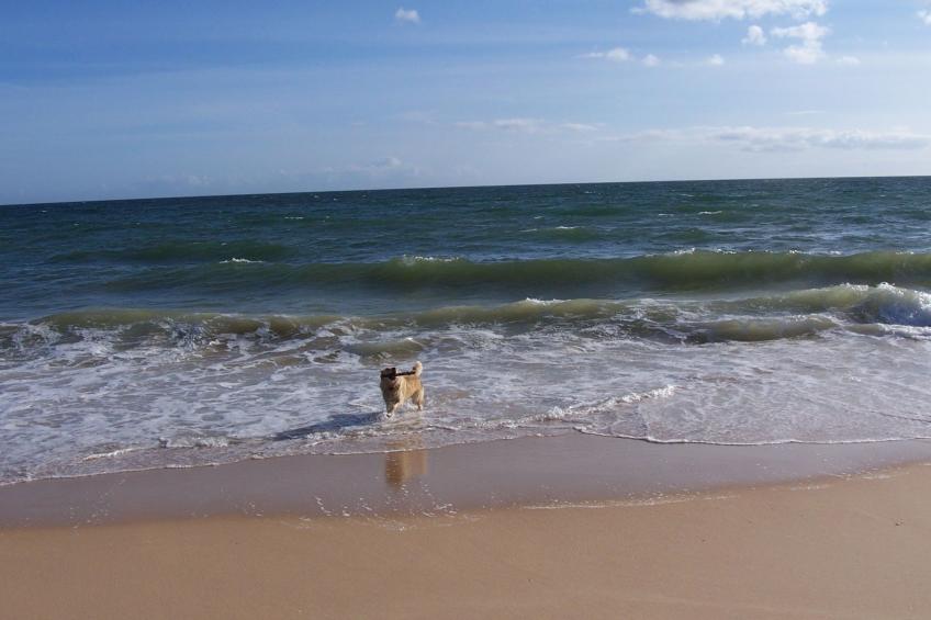 Villa Monte Alegrete - foto 63