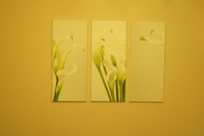 Cassiopaia in Baden-Baden - foto 7