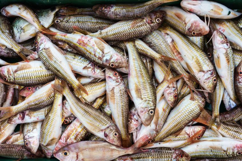 Olympus-Haus - foto 23