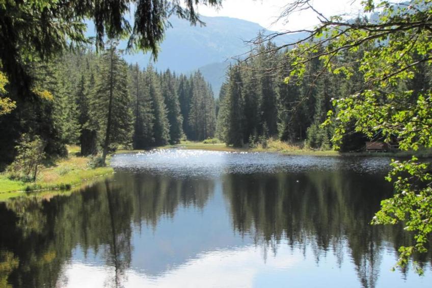 Domus Magnus - foto 39