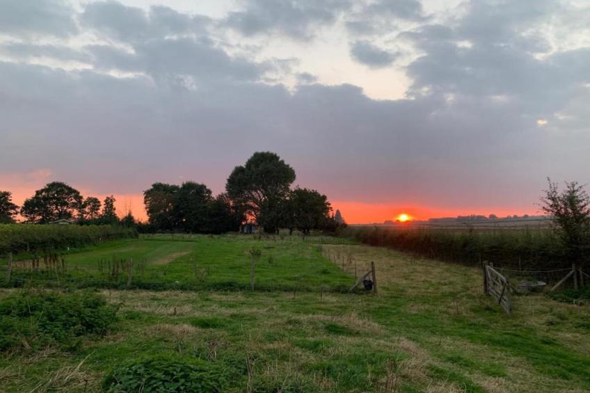 Petite Gite - foto 35