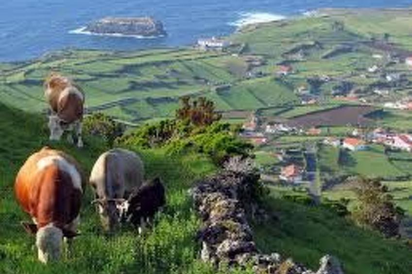 Strand und Natur auf den Azoren - foto 12