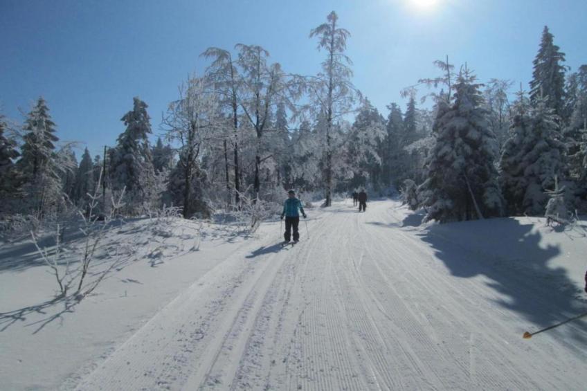 Bayerischer Wald - foto 31