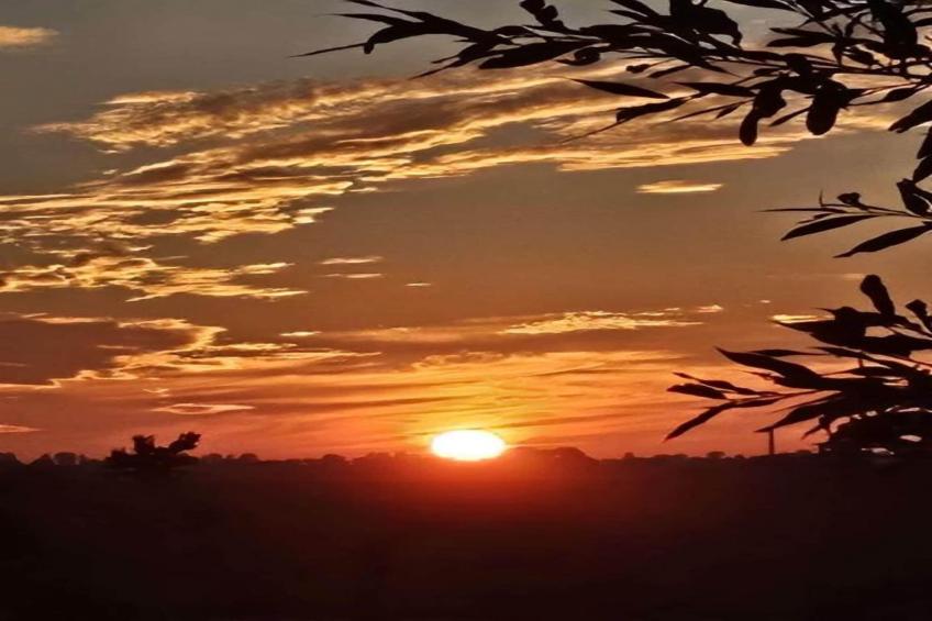 Ferienwohnung Dunker nähe Ostsee - foto 34
