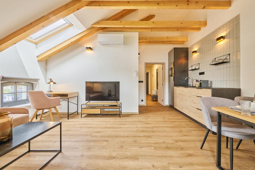 Luxury Mountain Attic with AC & Netflix - foto 25