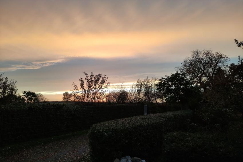 Janet Ratschkowski - foto 37