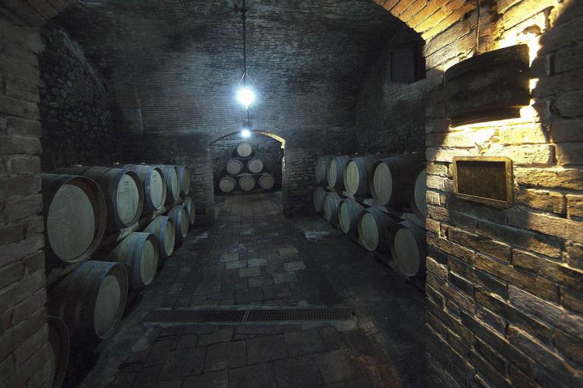 "Ciclamini capponi - foto 17