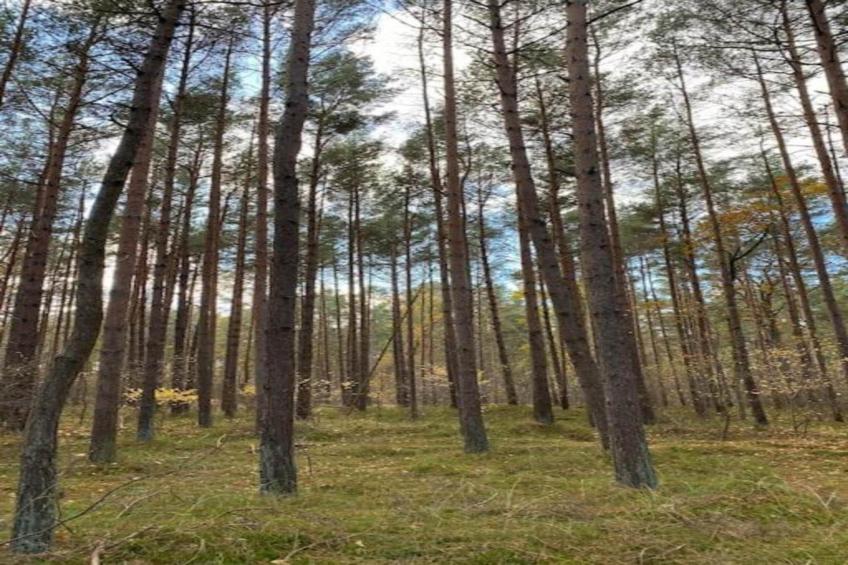 Bungalowanlage Gänseblümchen 7 - foto 27