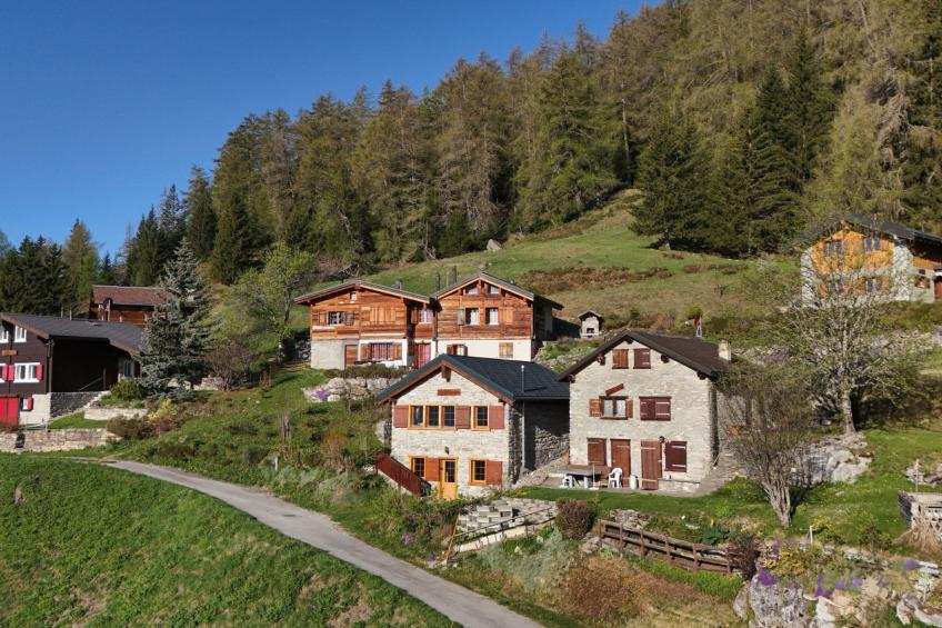 Tiny House facing the Alps - Ski in and out - foto 15