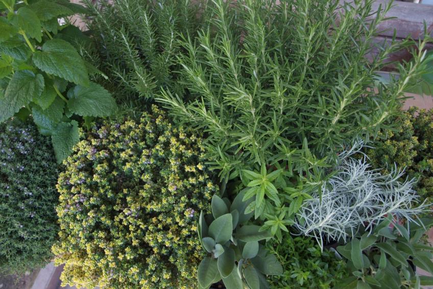 Kerschbamerhof Fewo Pink Lady mit Panoramablick - foto 37