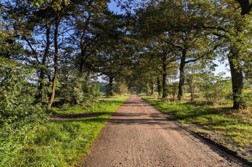 Park Haarle - foto 20
