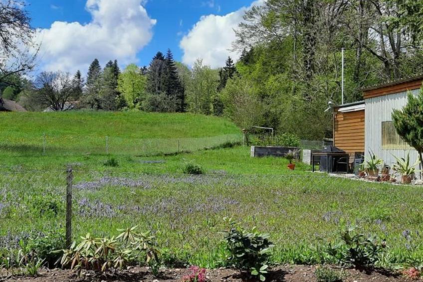Haus Usziit - Zeit die Seele baumeln zu lassen - foto 30