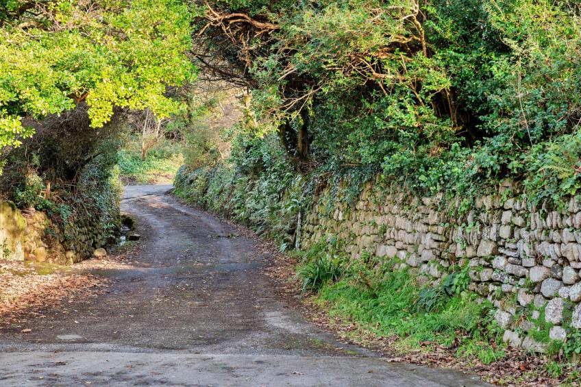 The Noel at Lesceave - foto 20