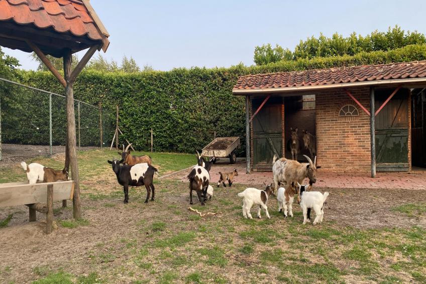 De Hofstede - foto 32