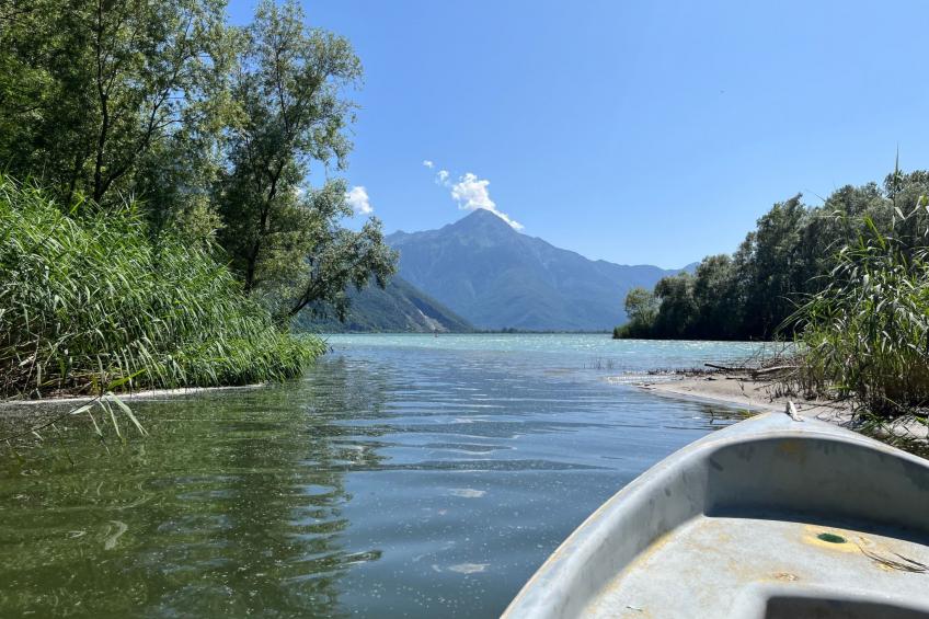Vakantieappartement 'Willkommen am See' - foto 14