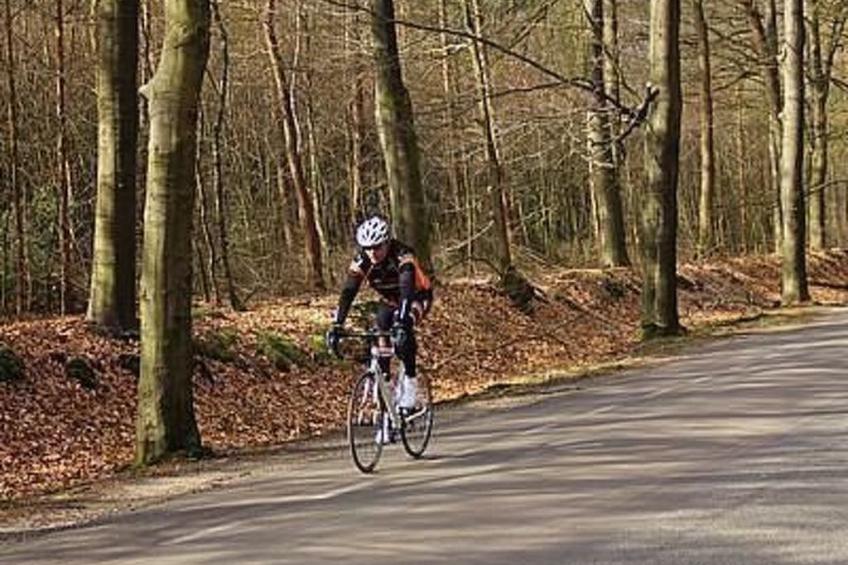 Anwesen "Oranjehorst" - foto 24