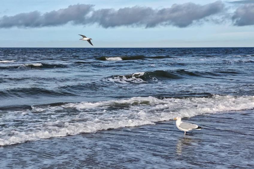 Familienhaus - Haus Sonne - Strandhotel Fischland - foto 30