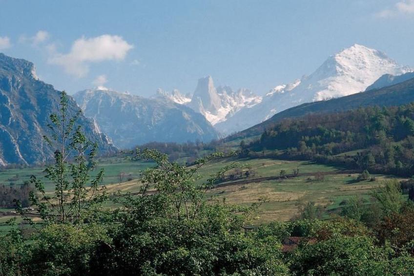 Maria Sopeña in Pruneda - foto 16