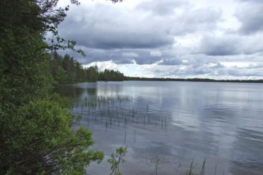 Kumpulahti - foto 25