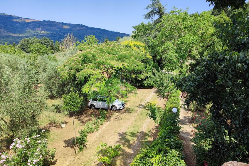 'Allodola' - foto 13