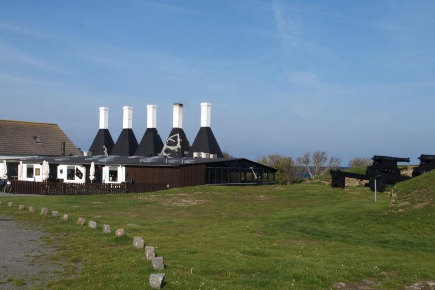 "Caranus" - 500m from the sea in Bornholm - foto 3