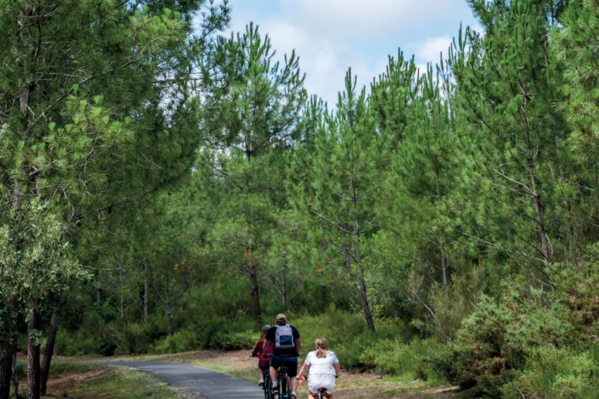 Les Cavales - foto 26